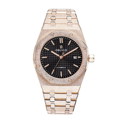 Elegant Mens Automatic Watch 316L Stainless Steel Mechanical Watches Luminous 50