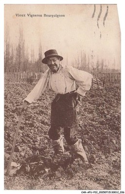 CAR-AFUP22-1084-71 - Old Burgundian winemaker