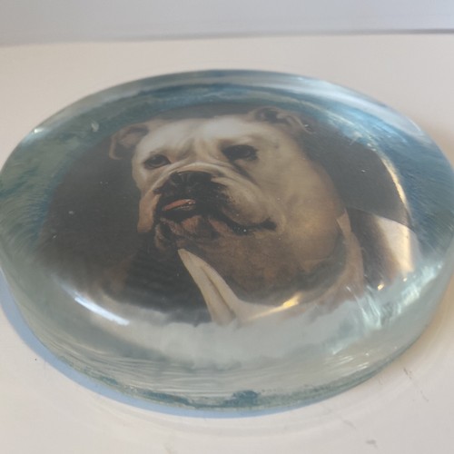 ANTIQUE ENGLISH BULLDOG AMERICAN BULLDOG GLASS PAPERWEIGHT - Picture 6 of 11