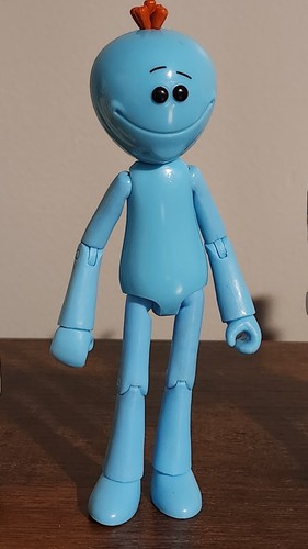 Rick & Morty Action Figures Lot of 5 Funko Articulated 2017 Cartoon Network - 第 5/6 張圖片