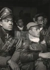 TUSKEGEE AIRMEN PILOTS 332ND FIGHTER GROUP USA WW2 5X7 PHOTO