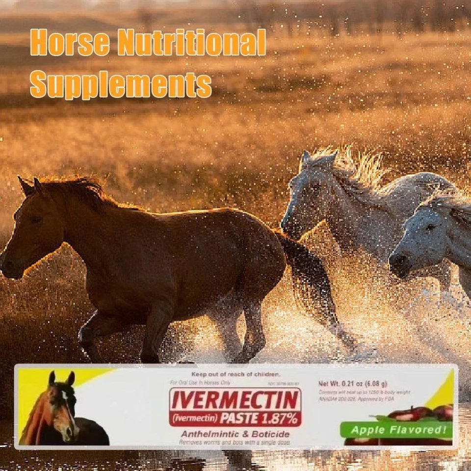 1-10 PACK Paste Horse Dewormer - Apple Flavor FREE SHIPPING - NEW IN BOX - Image 2 of 4