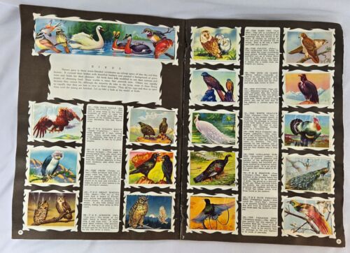Wonders of the Animal Kingdom Sticker Book 1959 Complete with All Stickers - Picture 6 of 11