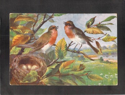B7614 Birds Red Robins Nest Artist TSN Series 1762 vintage postcard