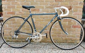 Sequoia Specialized | eBay