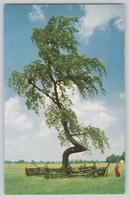 #ad Indian Trail Marker Tree Postcard SOHIO Standard Oil Upper Sandusky Chrome $3.99