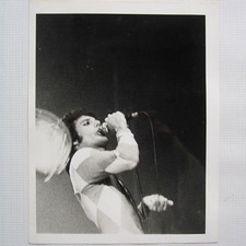 Queen Freddie Mercury 1977 Tour 8" x 10" Live On Stage Concert Photograph