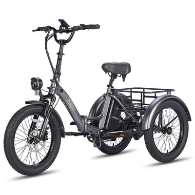 Fafrees F20 Mate Elektrisches Dreirad 20 Zoll Cargo Dreirad 5OOW Elektrodreirad