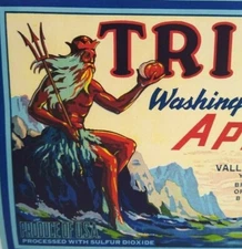 Triton Apples Crate Label King Neptune Man With Trident Vintage Original 1940s