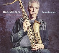 Soundscapes - Vinyl Record2 - G4Z