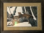 Tom  Mangelsen "SHADES OF SAPPHIRE" (20" x 30" Matted/Framed in 30" x 40")COA — photo 2