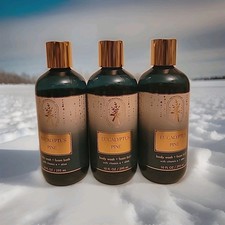 3x Bath  Body Works AROMA EUCALYPTUS PINE 10oz Body Wash Foam Bath New