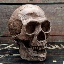 Crâne sculpté en terre cuite brune / tête de mort
