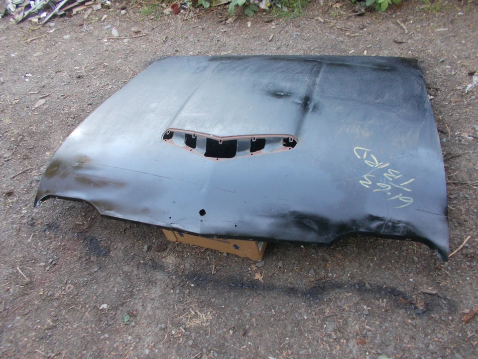 1961 61 1962 62 1963 63 Ford Thunderbird capó T-Bird Foto 3 de 4