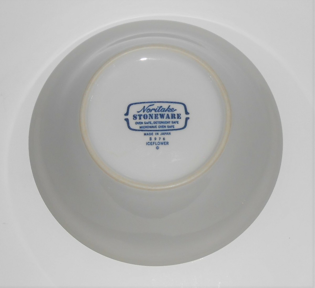 Noritake ノリタケ STONEWARE 大皿 ICEFLOWER Noritake Stoneware - Iceflower - Dinner Plates - TWO - 2