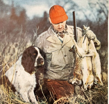 1955 Coniglio Caccia Cane Città e Campagna Rivista Taglio Pagina Fucili Vintage DWF12