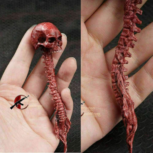 1/6 Scale Zombie Skull Red Skeleton Head Sculpt Model Toys For 12" Figure Dolls - Picture 6 of 6