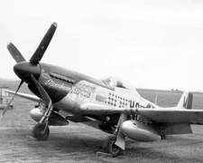 North American P-51 Mustang World War II WWII WW2 8x10 Photo 462c