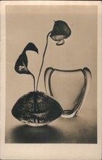 Art/Still Life Jindrich Brok Still Life: Flowers & Vases Vintage Postcard