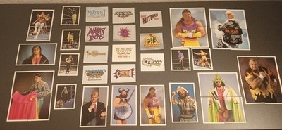 WWF Merlin Sticker Aufkleber 1992 Hulk Hogan Macho Million Dollar Man WWE Foil