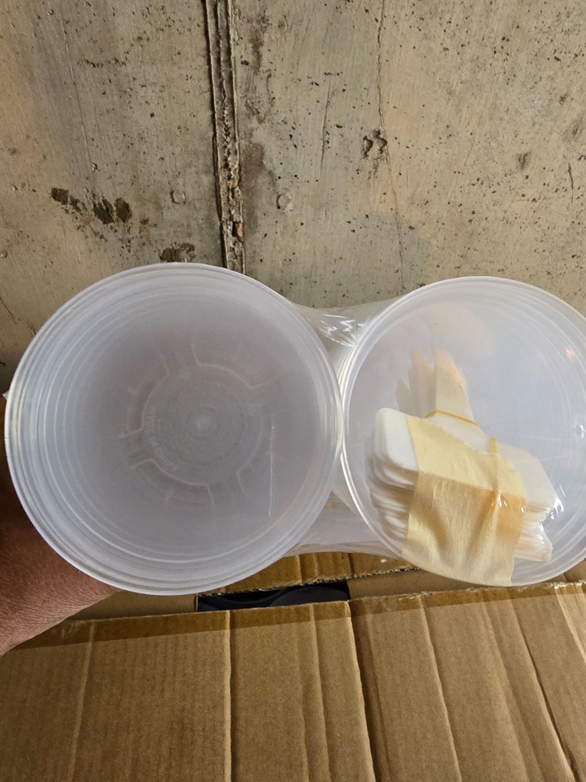 homenote clear nursery pots 60 pack