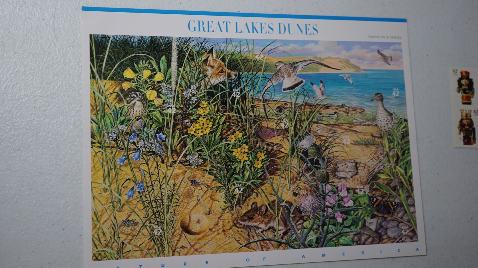 Picture 7 of 8
