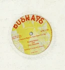 " IS THERE A PLACE IN YOU.R HEART FOR ME."  paulette walker. BUSHAYS 12in 1978.