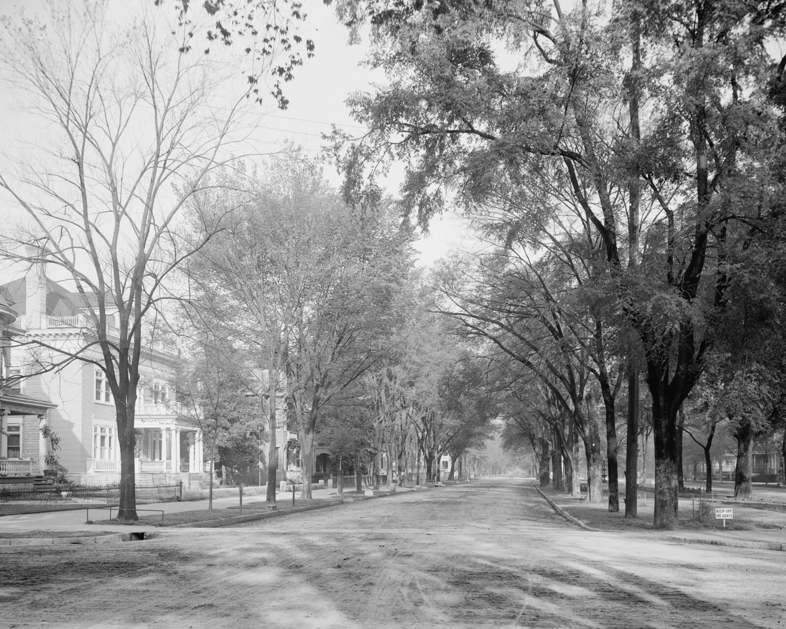 Greene Street, Augusta, 1903, GA, Photo, New Picture