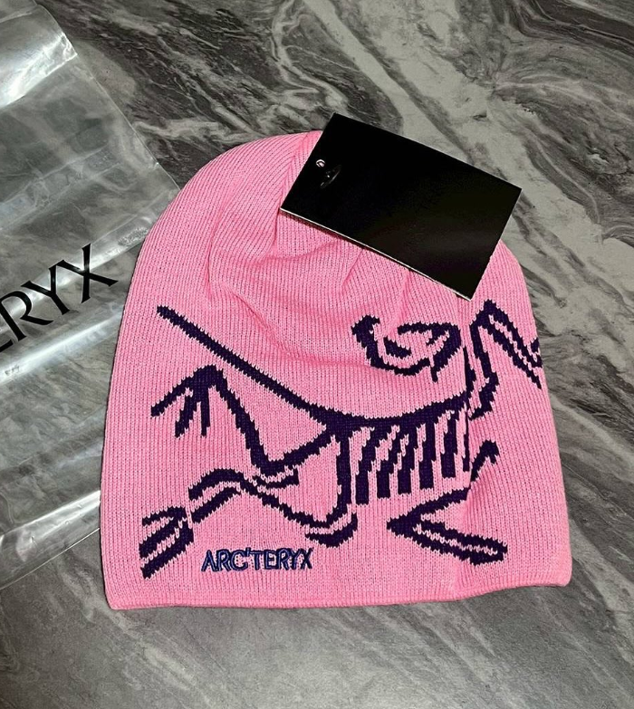 完売品ARC'TERYX Bird Head Toque ピンク ビーニー Arc'teryx Bird Head Toque Beanie Pink Merino Wool Winter Hat – NWT