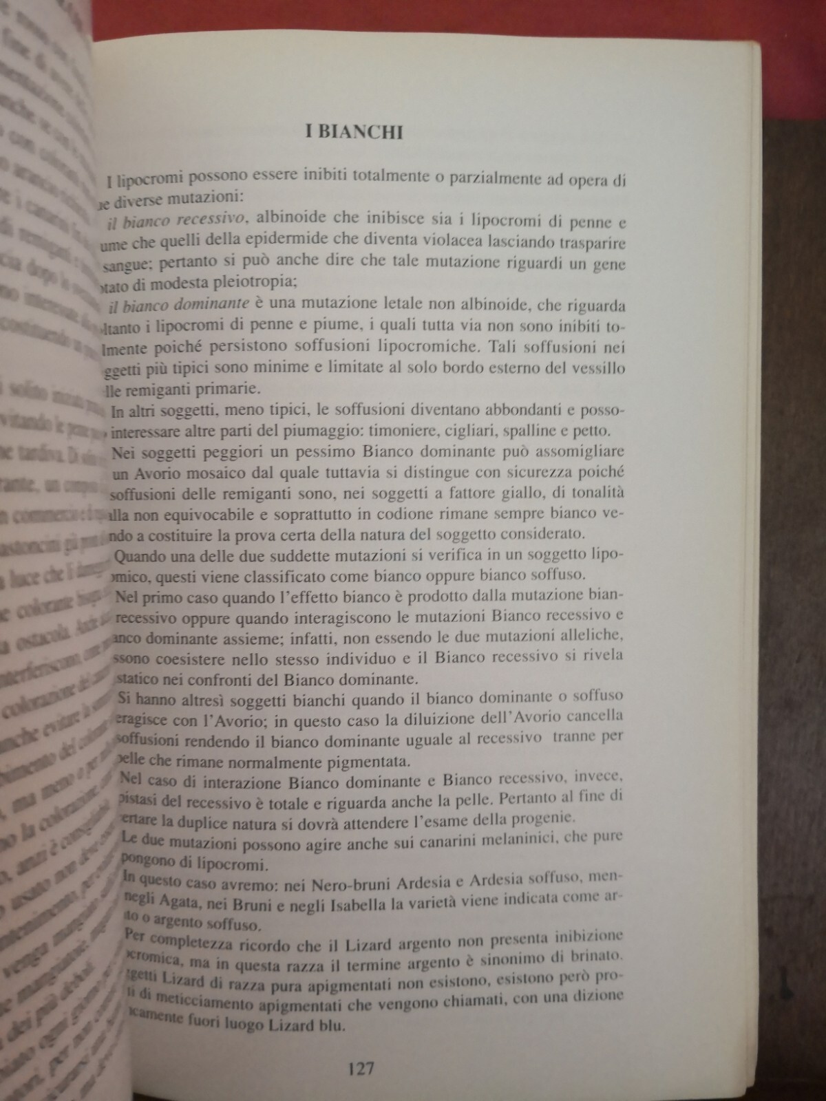 Foto 10 di 11