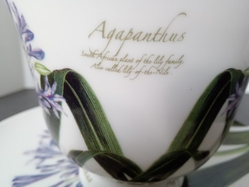Creative Tops Fine Bone China "Agapanthus" Northamptonshire England Cup & Saucer - Picture 5 of 14