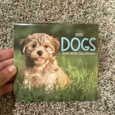 2025 Dogs 16 month small Hanging Wall Calendar- NEW size 5.6in. X 5.3in.