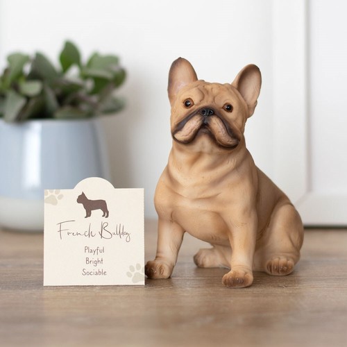 Decorazione cane decorazione casa amanti razza resina regalo animali da collezione sentiment card - Foto 15 di 44