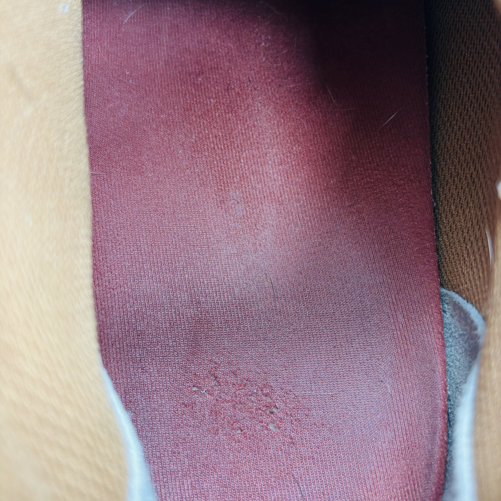 Bild 12 von 12