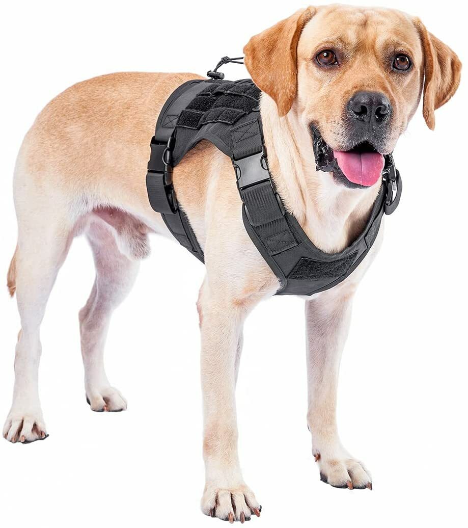 Military Tactical Dog Harness with Handle No-pull Metal Dog Vest - Main Image