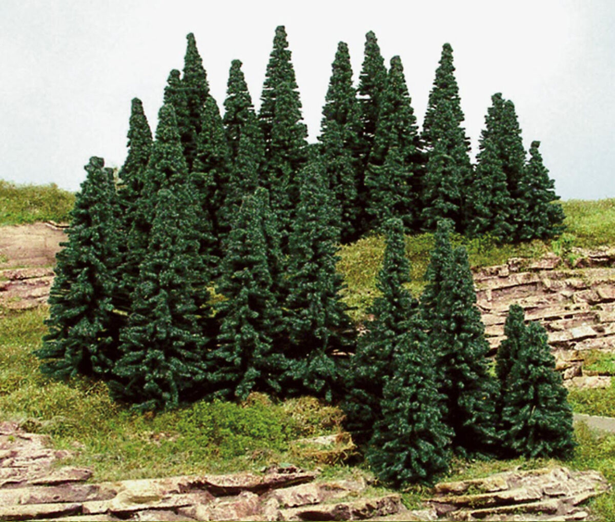 Heki 2191 Pack of One Hundred Pine Trees (Height 5-7 cm) | eBay Heki 2191 Pack of One Hundred Pine Trees (Height 5-7 cm) | eBay