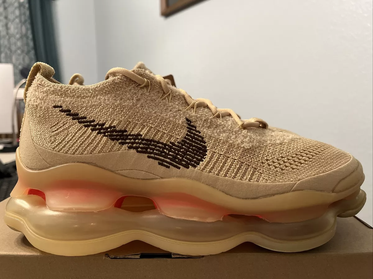 Nike air on sale max flyknit 200