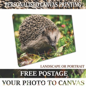 A4 A3 A2 A1 CANVAS PRINT YOUR PHOTO TO CANVAS PERSONALISED 20MM READY TO HANG
