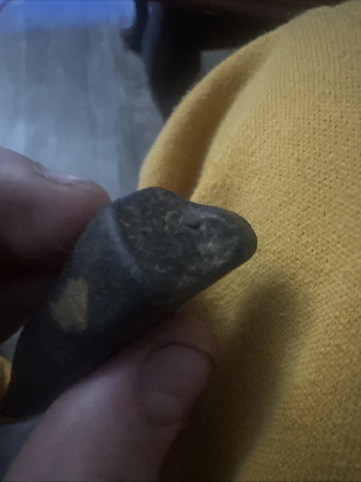 Ancient Stone Awl Tool – Archaic/Woodland Era Hand Artifact - Image 4 of 4