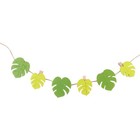 25Pcs 1.2m Cotton Rope with Photo Clips Wooden Monstera Chips Pin Note Memo