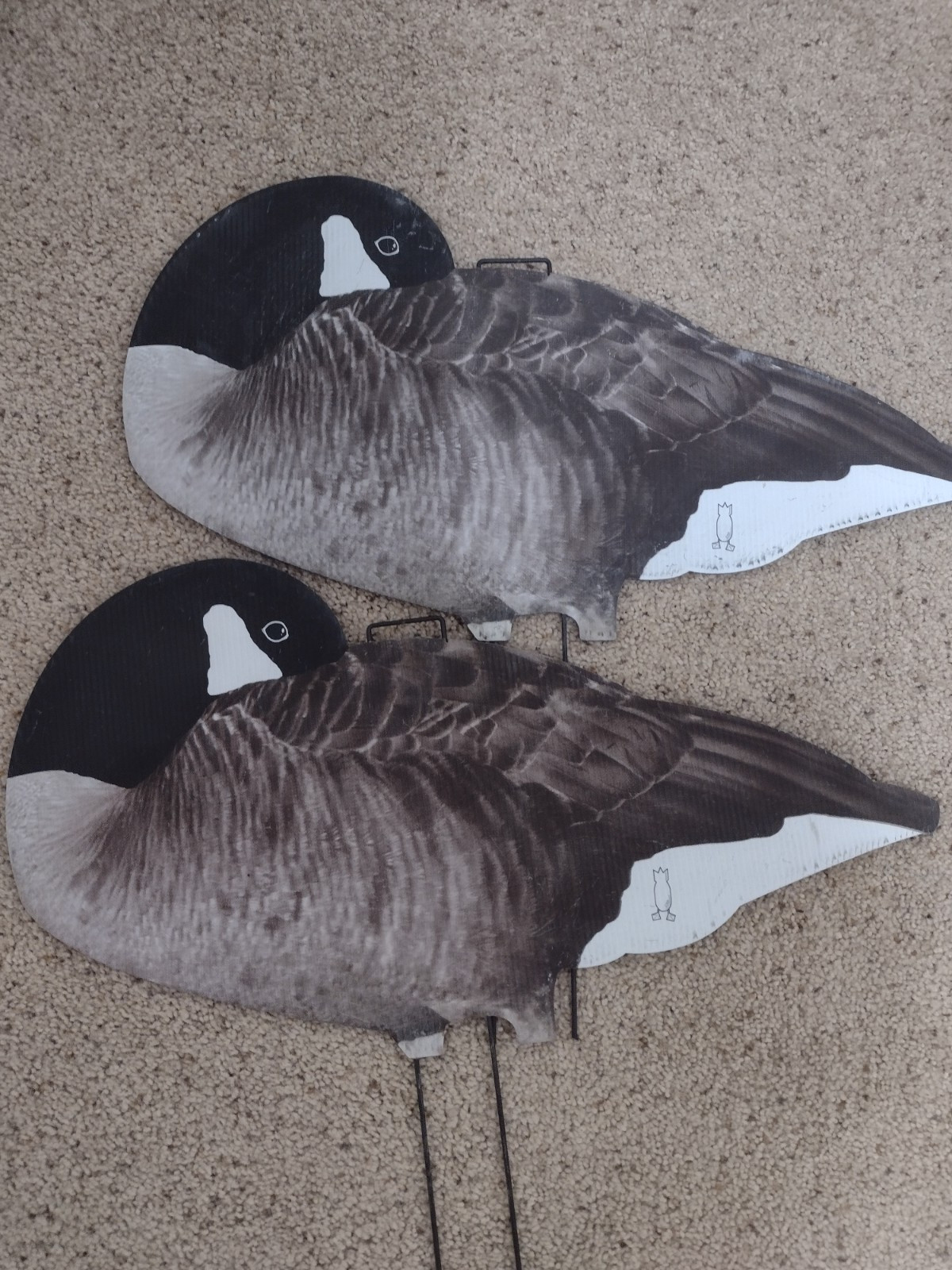 divebomb canada goose silhouettes thumbnail 3