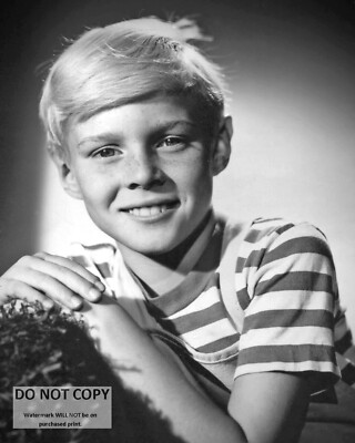 JAY NORTH AS "DENNIS THE MENACE"' - 8X10 PUBLICITY PHOTO (AA-072) | eBay