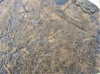 Bild 8 von 11