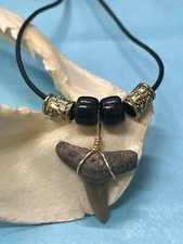 SHARK TOOTH NECKLACE ( Fossilized ) ..1 Inch LEMON Shark Tooth 