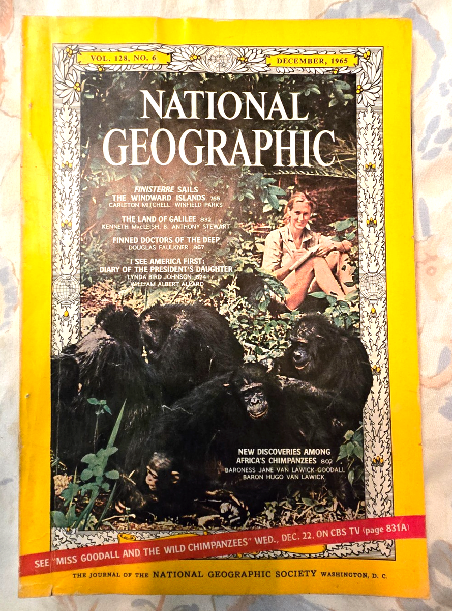 National Geographic December 1965 Jane Goodall Issue Discoveries