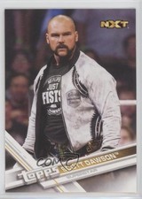 2017 Topps WWE Scott Dawson #84 1i3