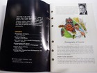 Foto 7 di 9
