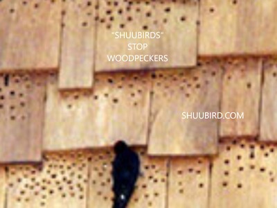Woodpecker & pigeon repellent deterrent stop repel deter remove protect stop