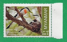 Myanmar 2022 MNH VF Endemic Birds "Jerdon's Minivet" stamp