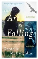 The Art Of Falling Danielle Mclaughlin